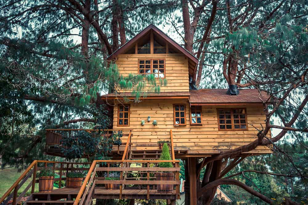 2-story treehouse for living