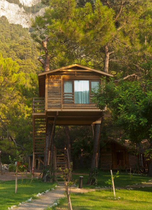 Cozy treehouse with a large window on a coniferous tree near the mountains