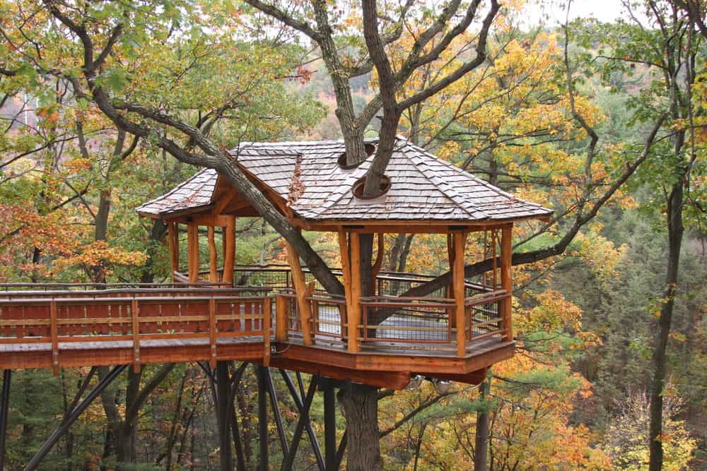 High treehouse in gazebo style