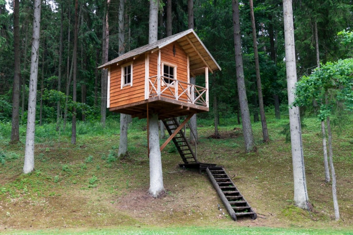 Lost in the woods small treehouse