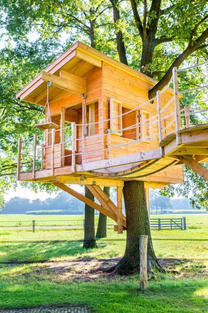 Sunny wooden tree house with wheel and axle machine