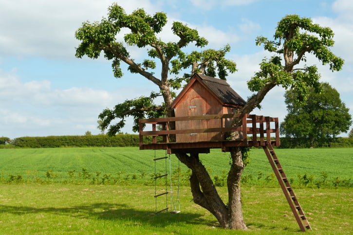 Treehouse with wrap-around porch, roper ladder and swing