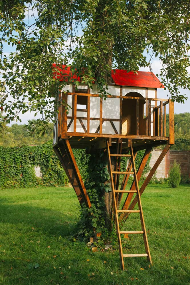 Tudor style treehouse with red roof