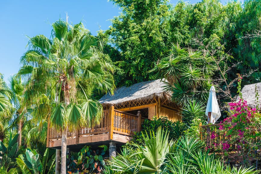 Vacation treehouse built in the tree canopy with large deck