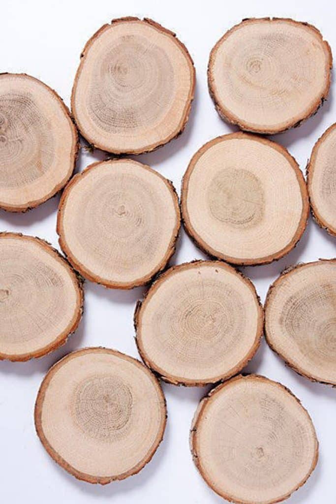 10 oak wood slices 2- 3" , rustic wedding decors, wood slice with bark, tag slices, woodland wedding decors, wood discs for craft